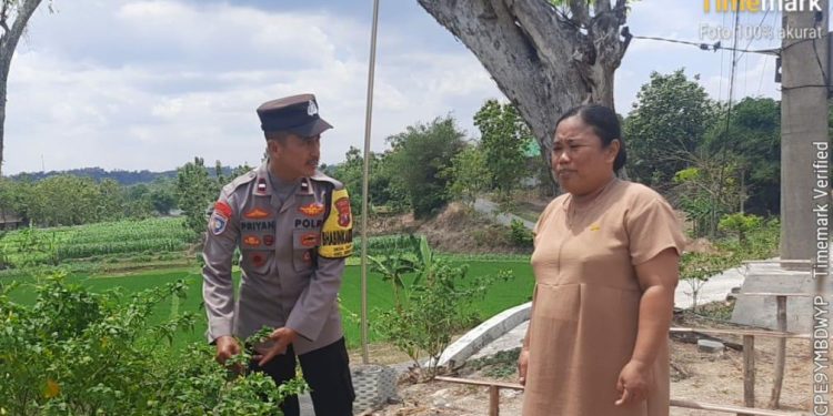 Dukung Ketahanan Pangan di Ngawi, Bhabinkamtibmas Ds. Dampit Sambang Program P2B
