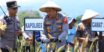 Dukung Asta Cita Presiden RI, Polres Ngawi Panen Raya Jagung di Desa Hargosari
