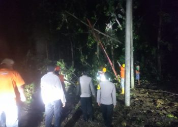 Gercep, Polisi Ngawi Evakuasi Pohon Tumbang Timpa Jaringan Listrik di Karanganyar