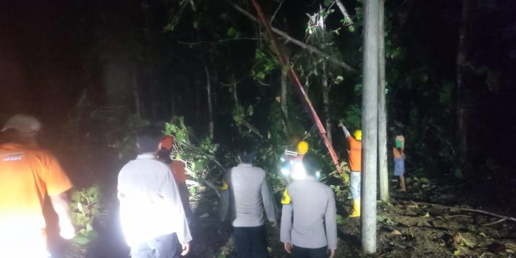 Gercep, Polisi Ngawi Evakuasi Pohon Tumbang Timpa Jaringan Listrik di Karanganyar