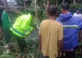 Respon Cepat Polisi Ngawi Tangani Pohon Tumbang Timpa Rumah Warga di Sine