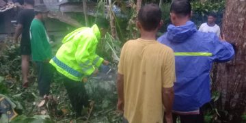 Respon Cepat Polisi Ngawi Tangani Pohon Tumbang Timpa Rumah Warga di Sine