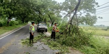 Polsek Kwadungan Potong Pohon yang Potensi Bahayakan Pengguna Jalan di Ngawi