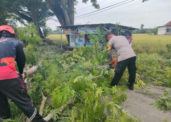 Peduli Pengguna Jalan, Polsek Geneng Polres Ngawi Lakukan  Pemotongan Dahan Pohon Rawan Roboh