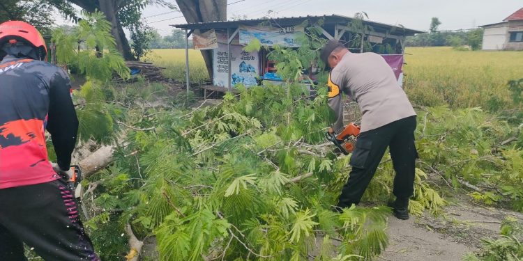 Peduli Pengguna Jalan, Polsek Geneng Polres Ngawi Lakukan Pemotongan Dahan Pohon Rawan Roboh