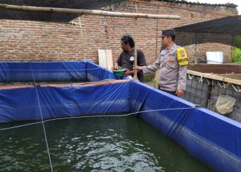 Polres Ngawi Dorong Budidaya Ikan Lele, Bhabinkamtibmas Jenangan Aktif Dampingi Warga