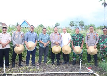 Bupati Jeneponto Hadiri Panen Raya Jagung Serentak Nasional, Perkuat Komitmen Ketahanan Pangan Daerah