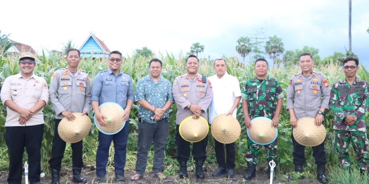Bupati Jeneponto Hadiri Panen Raya Jagung Serentak Nasional, Perkuat Komitmen Ketahanan Pangan Daerah