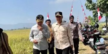 Plt. Bupati Ahmad Baharudin Hadiri Panen Raya Tahunan Pertama Di Desa Kepuh berjalan lancar dan kondusif