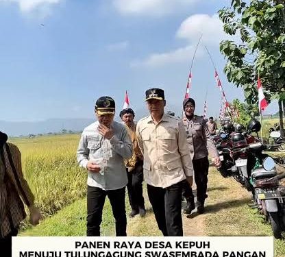 Plt. Bupati Ahmad Baharudin Hadiri Panen Raya Tahunan Pertama Di Desa Kepuh berjalan lancar dan kondusif