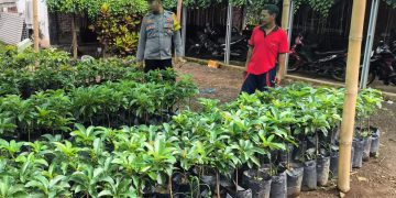 Polsek Sine Ajak Warga Manfaatkan Pekarangan Bergizi, Dukung Ketahanan Pangan Nasional di Ngawi