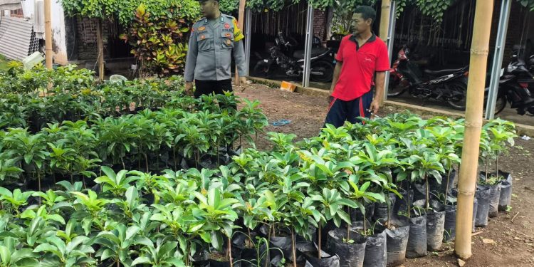 Polsek Sine Ajak Warga Manfaatkan Pekarangan Bergizi, Dukung Ketahanan Pangan Nasional di Ngawi