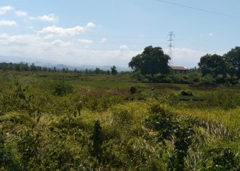 Puluhan Hektar Lahan Empang Milik Pemkab Jeneponto Terlantar Lebih 20 Tahun, Potensi PAD Hilang Sia‑sia