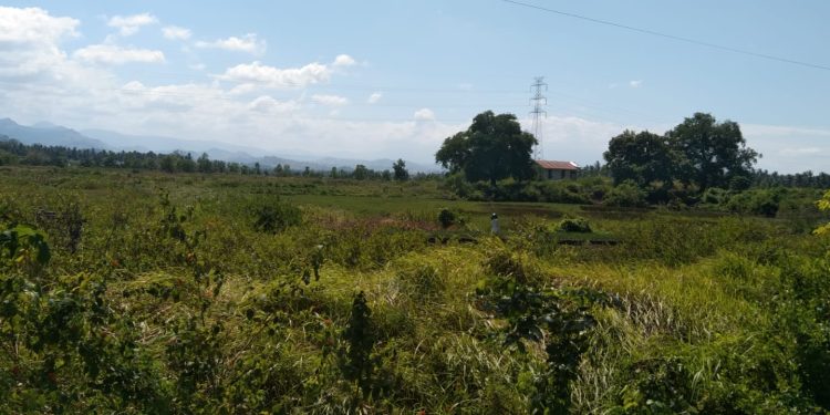 Puluhan Hektar Lahan Empang Milik Pemkab Jeneponto Terlantar Lebih 20 Tahun, Potensi PAD Hilang Sia‑sia